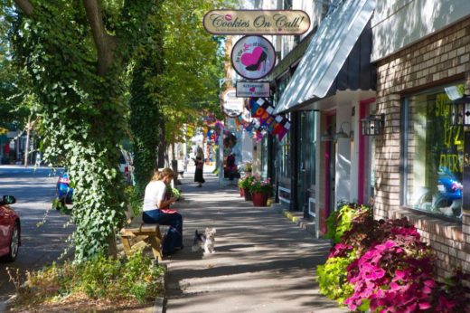 Picture of douglas michigan shops