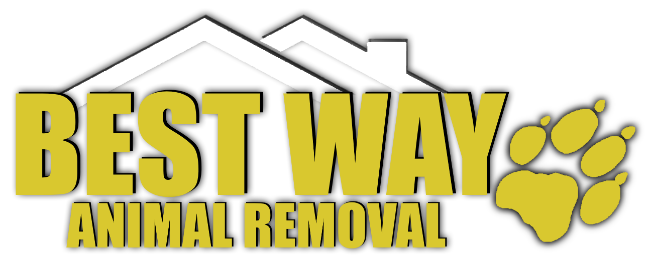 Best Way Animal Removal Logo